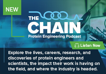 The Chain Podcast