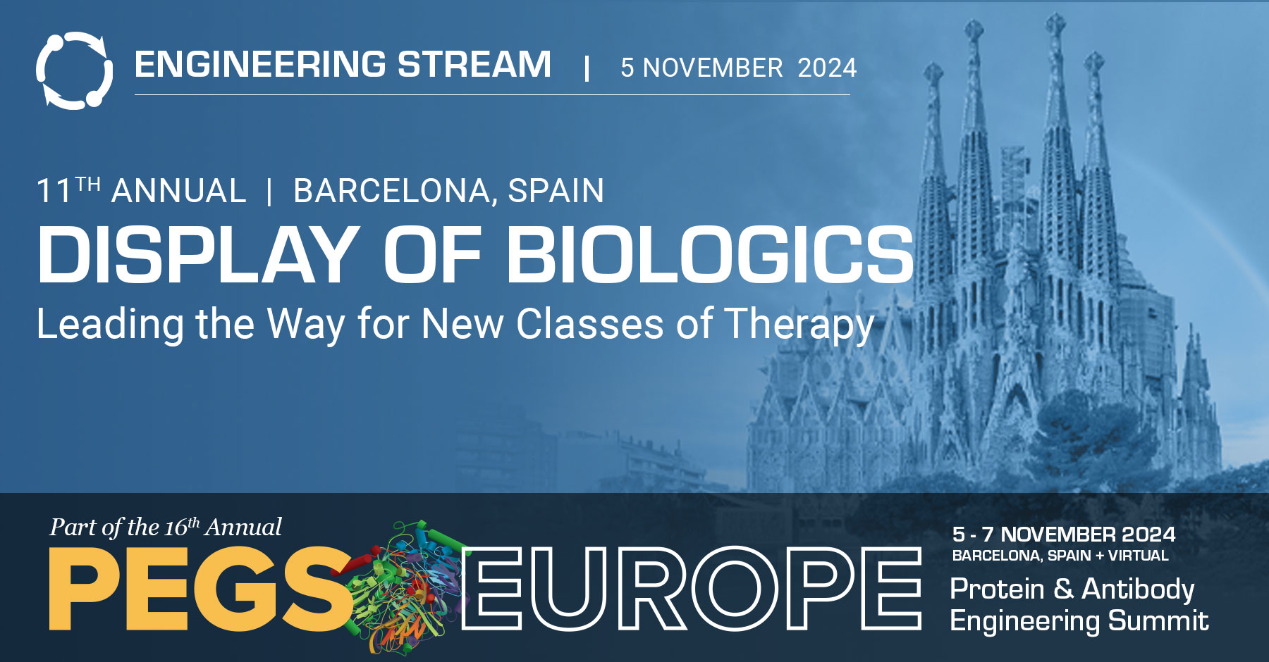 Display Of Biologics Protein Antibody Engineering Summit 5 7